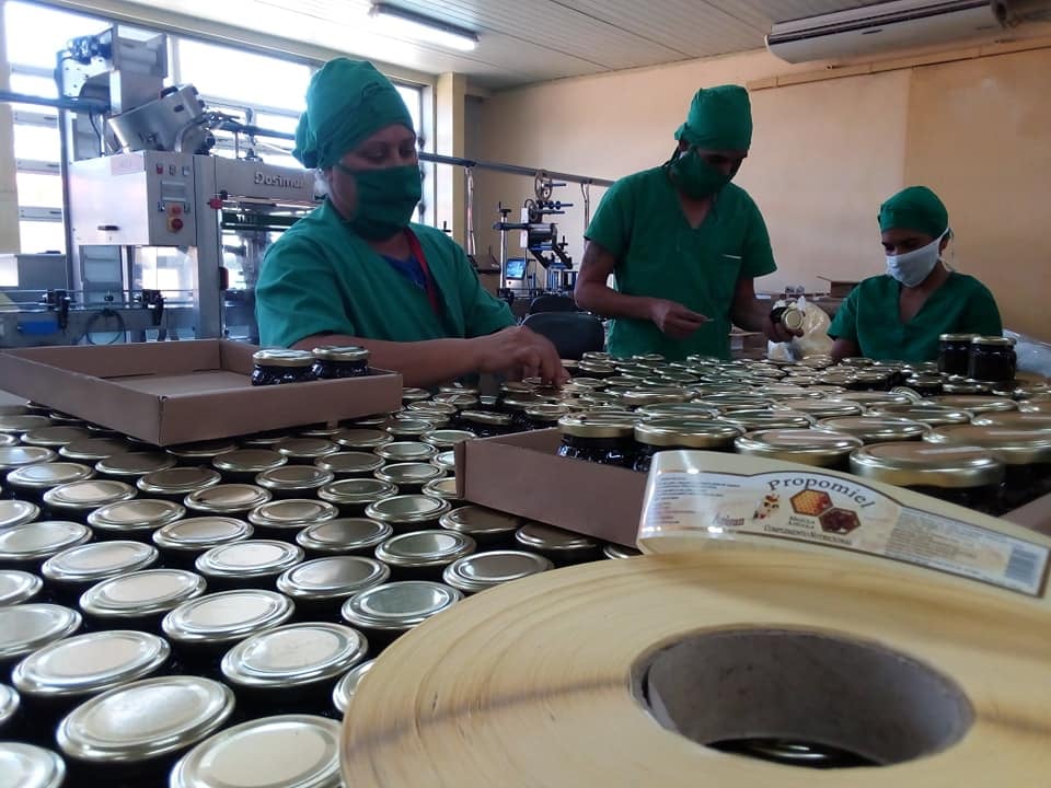 mdc_working_bees_2